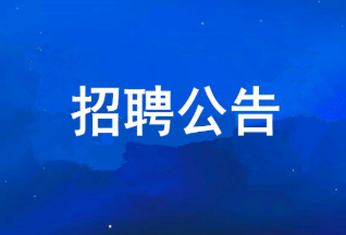 BetMGM���� 2025��ȹ�����Ƹ����